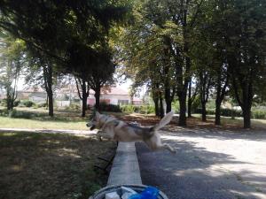 Прикачена снимка