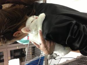 Прикачена снимка