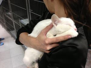 Прикачена снимка