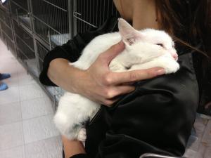 Прикачена снимка