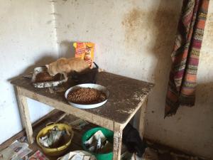 Прикачена снимка