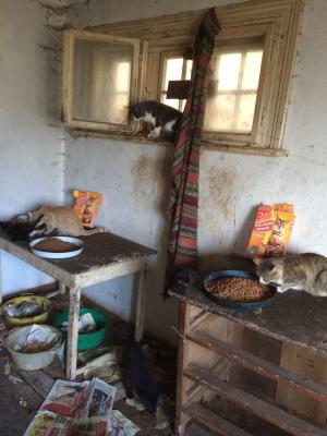 Прикачена снимка