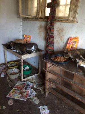 Прикачена снимка