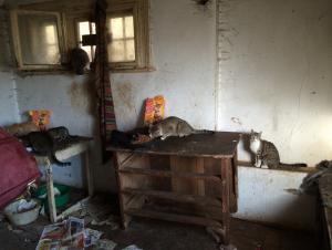 Прикачена снимка