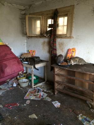 Прикачена снимка