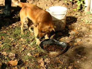 Прикачена снимка