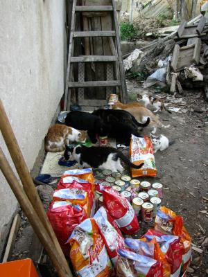 Прикачена снимка