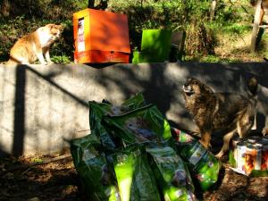 Прикачена снимка