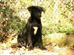 Прикачена снимка