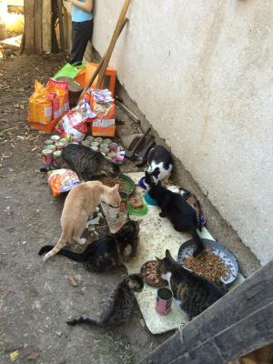 Прикачена снимка