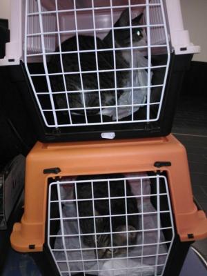 Прикачена снимка