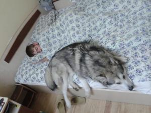 Прикачена снимка
