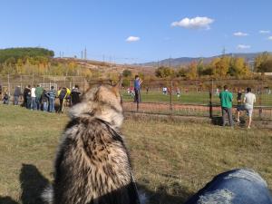 Прикачена снимка