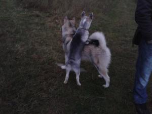 Прикачена снимка