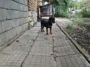 Прикачена снимка