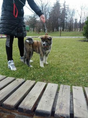 Прикачена снимка