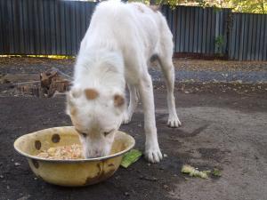 Прикачена снимка