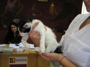 Прикачена снимка