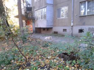 Прикачена снимка
