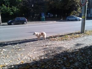 Прикачена снимка