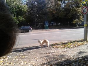 Прикачена снимка
