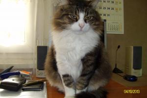 Прикачена снимка