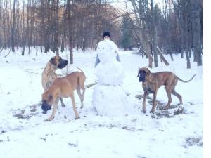 Прикачена снимка