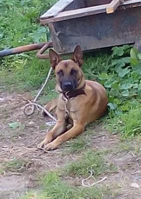 Прикачена снимка