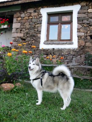 Прикачена снимка