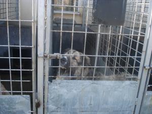 Прикачена снимка