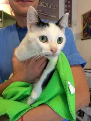 Прикачена снимка