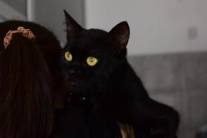 Прикачена снимка