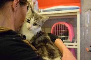 Прикачена снимка