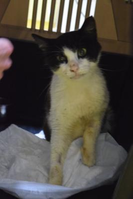 Прикачена снимка