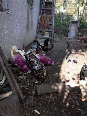 Прикачена снимка