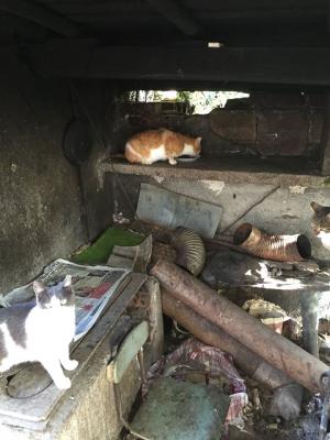 Прикачена снимка