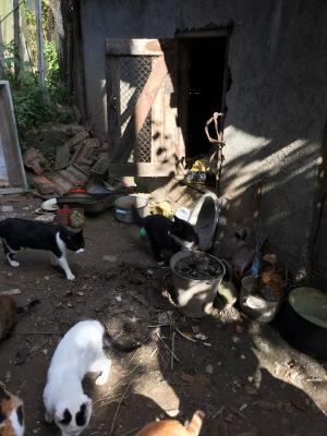 Прикачена снимка