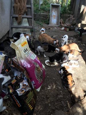 Прикачена снимка