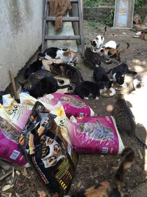 Прикачена снимка