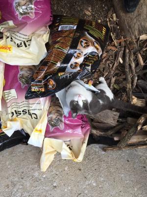 Прикачена снимка