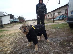 Прикачена снимка