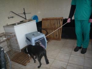 Прикачена снимка