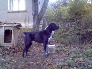 Прикачена снимка
