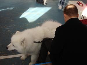 Прикачена снимка