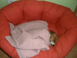 Прикачена снимка