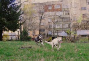 Прикачена снимка