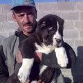 Прикачена снимка
