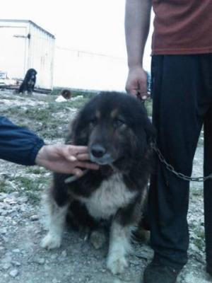 Прикачена снимка
