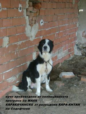 Прикачена снимка