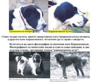 Прикачена снимка